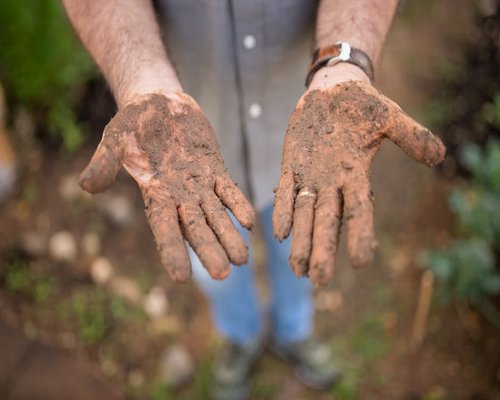 Hands gardening in soil close up