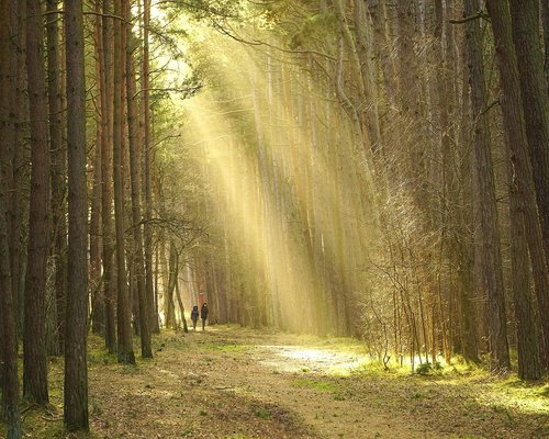 Person hiking on a trail in nature